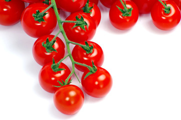 tomatoes
