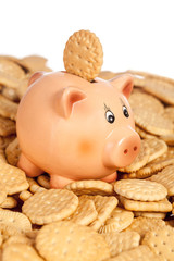 Piggy bank with round cookie on back