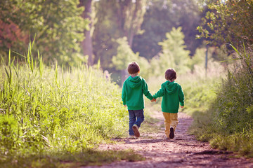 Two boys walking in park, holding hands - obrazy, fototapety, plakaty