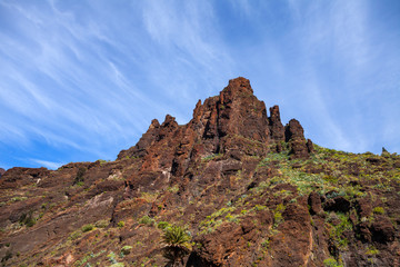 Fototapeta premium Masca