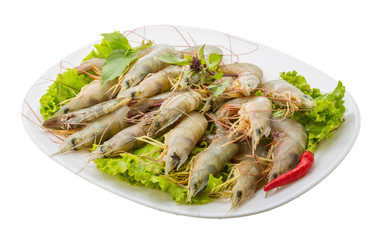Raw tiger shrimps