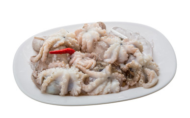 Raw octopus