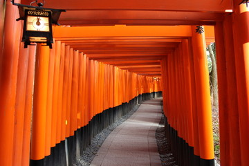 Fototapeta premium 京都 伏見稲荷の千本鳥居