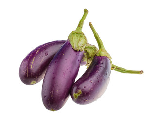 Eggplant