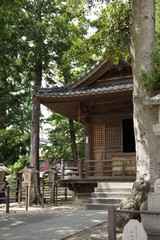 Fototapeta premium 豊川稲荷 鎮守堂
