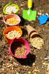 Sowing seeds