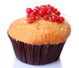 Tasty muffin with red currant isolated on white