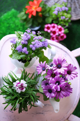 Flowers in  decorative pots on chair, close-up