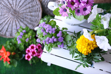 Flowers in  decorative pots on chair, close-up