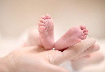 Tiny newborn baby's feet on female hands closeup