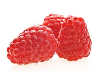Red berry raspberry isolated on white background