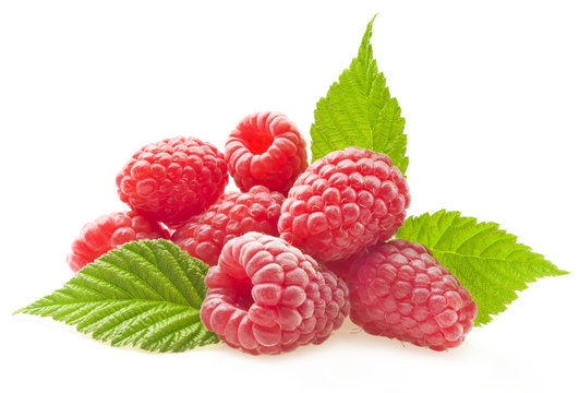 Red berry raspberry isolated on white background