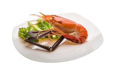 Giant Freshwater Prawn