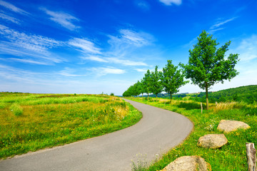 Road in green field