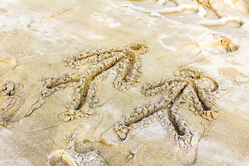 Drawings in sand