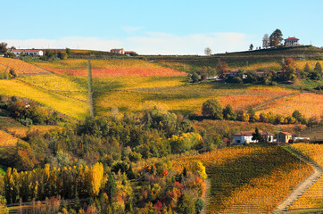 Vineyards on the hills in autumn in Italy.