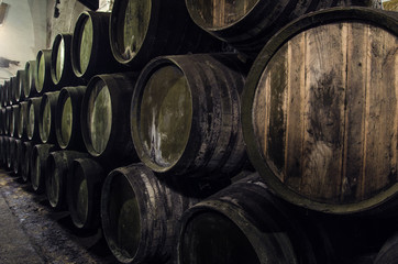 wine barrels in cellar