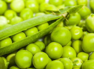 pile of peas in pods and seeds