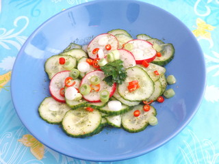 Gurkensalat mit Radieschen