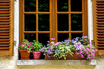 Fototapeta na wymiar Fenster mit hübschen Blumen
