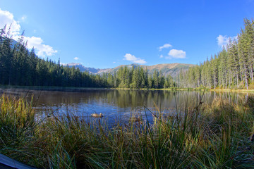 Reflection on Smreczynski lake in Koscieliska Valley, Tatras
