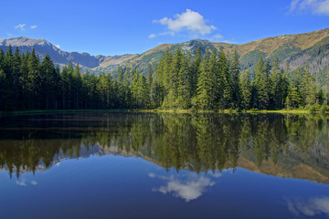 Fototapeta na wymiar Reflection on Smreczynski lake in Koscieliska Valley, Tatras