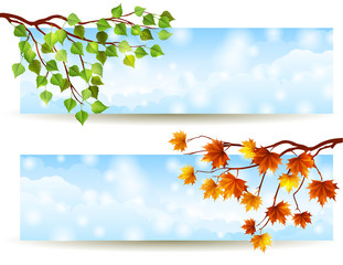 branch banners