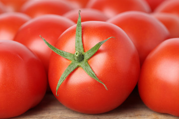 Frische Gemüse Tomaten