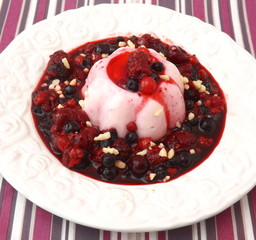 Himbeerpudding mit Obst