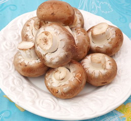 braune champignions