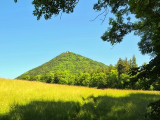 Hot summer morning between forest hills. Peak of forest  hill