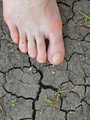 Two tired male  legs on dry cracked clay. Dry cracked clay in ba