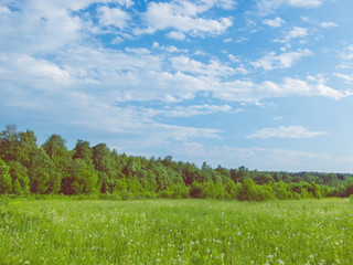Obraz premium background picturesque landscape green field blue sky and fore