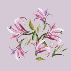 Pink lily pattern