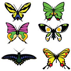 Colored icons butterflies on a white. Raster