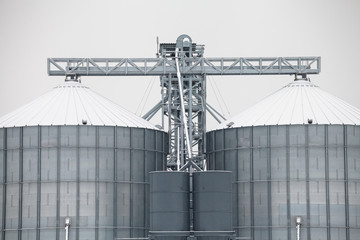 Storage grain silos in winter
