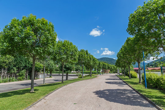 all&eacute;e arbor&eacute;e