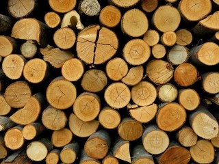 Woodpile Kindling Firewood Detail