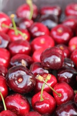 Cerises