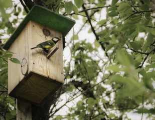 Naklejka premium Birdhouse with bird