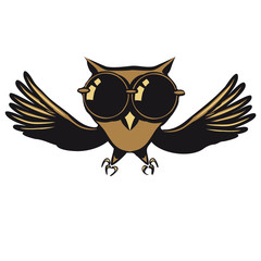 Eule fliegen witzig Sonnenbrille