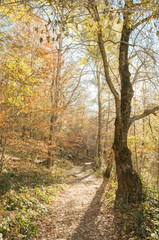 Montseny mountains in Barcelona