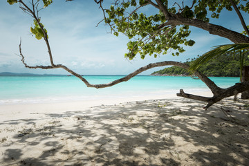 Paradise beach on a tropical island