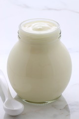 plain french style yogurt