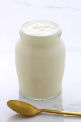 plain french style yogurt