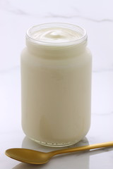 plain french style yogurt