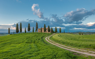 typical tuscan landscape