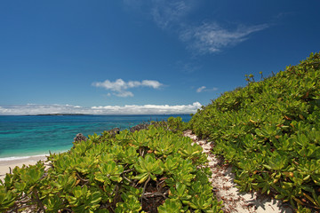 Fototapeta na wymiar Głębokie błękitne niebo i piękne plaży tropikalnych