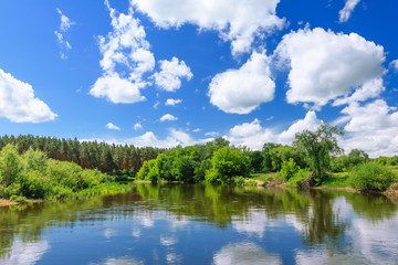 Fototapeta premium Forest lake