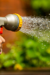 Adjustable water sprayer